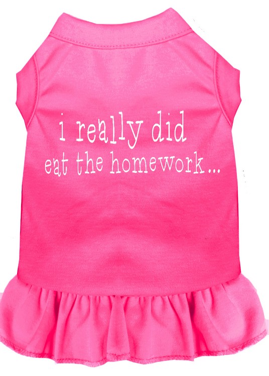 I really did eat the Homework Screen Print Dress Bright Pink XXL